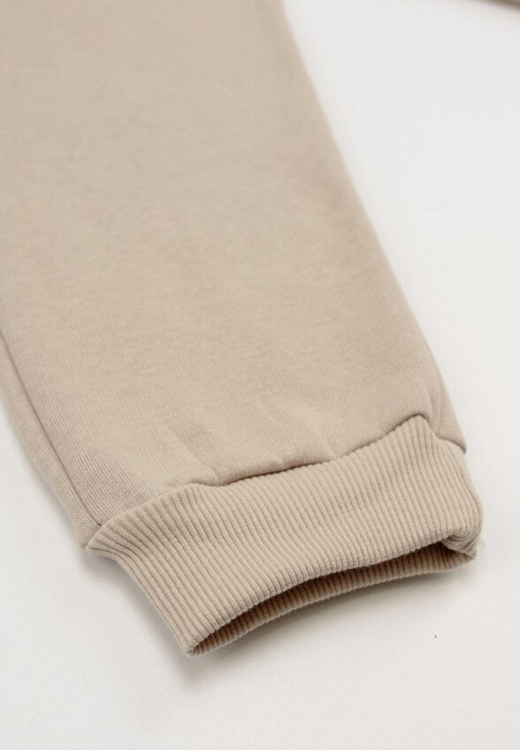 Брюки спортивные Nordman