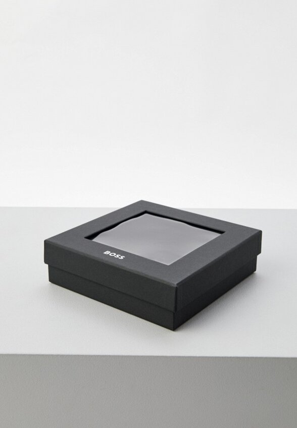 Ремень и сменная пряжка Boss