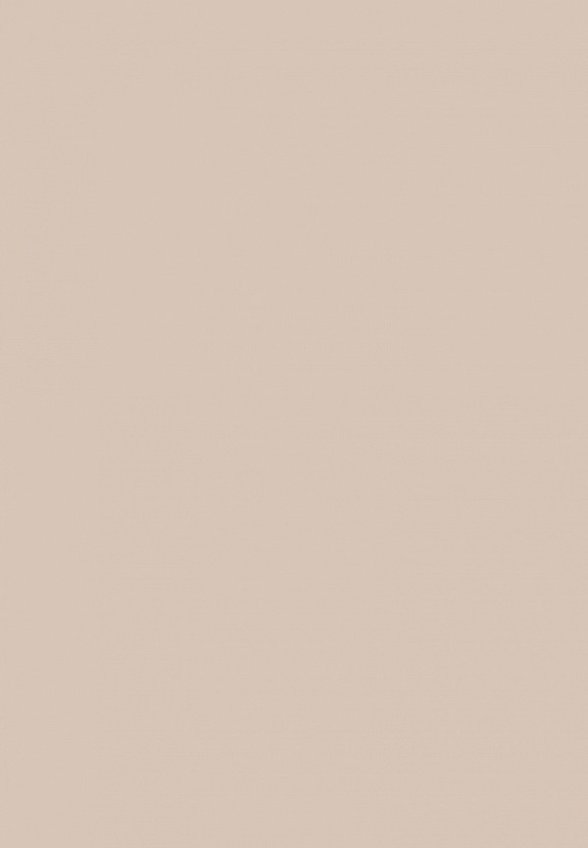 Пудра компактная Shik