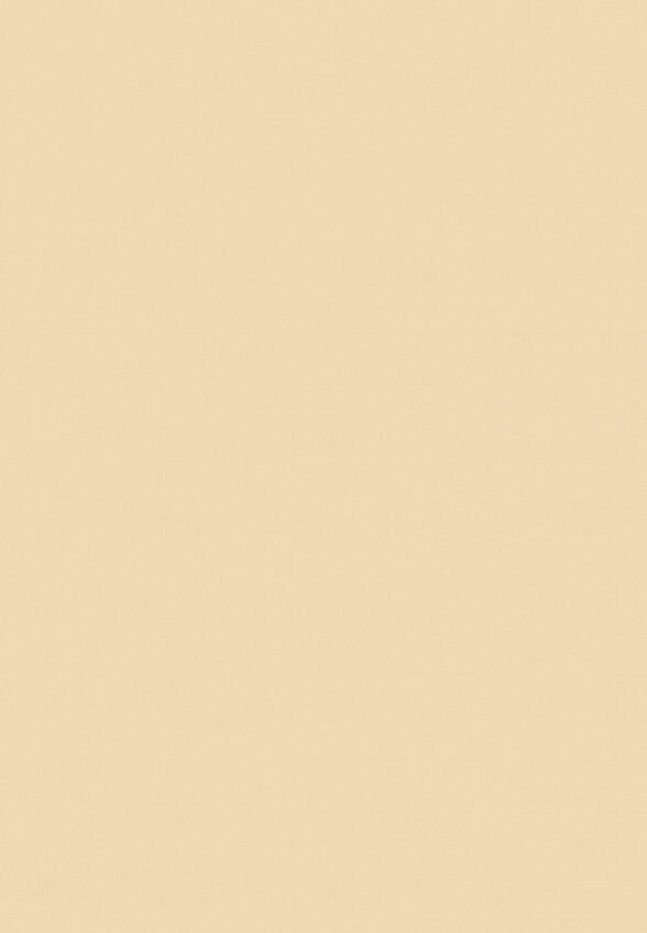 Пудра компактная Golden Rose