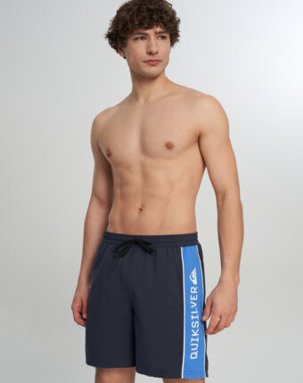Шорты плавательные мужские Quiksilver Everyday Clicker Volley 17, Синий женщинам