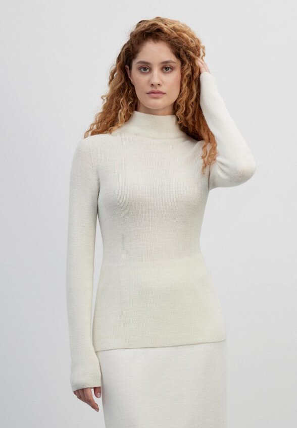 Водолазка Elis