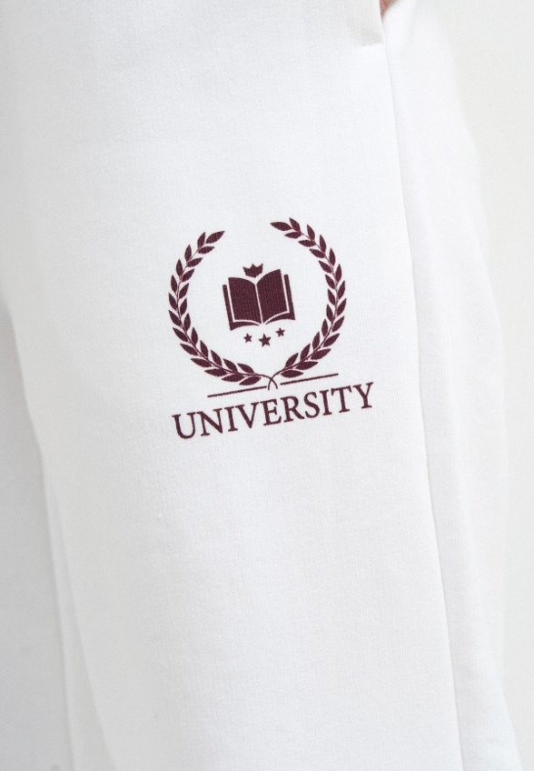 Брюки спортивные Твое