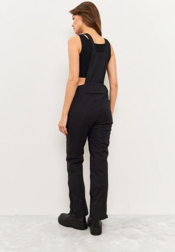 Брюки горнолыжные WinDay