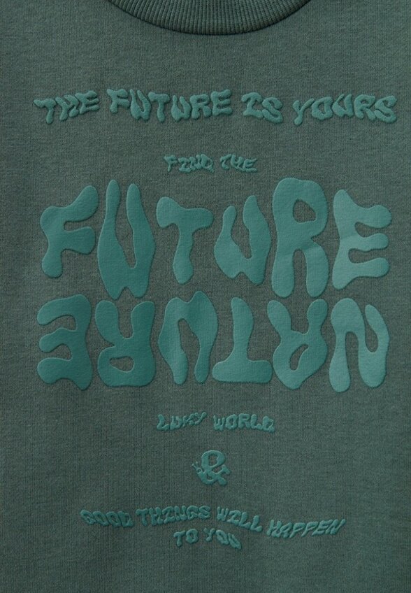 Свитшот Pelican