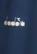 Футболка мужская Diadora, Синий7  - превью