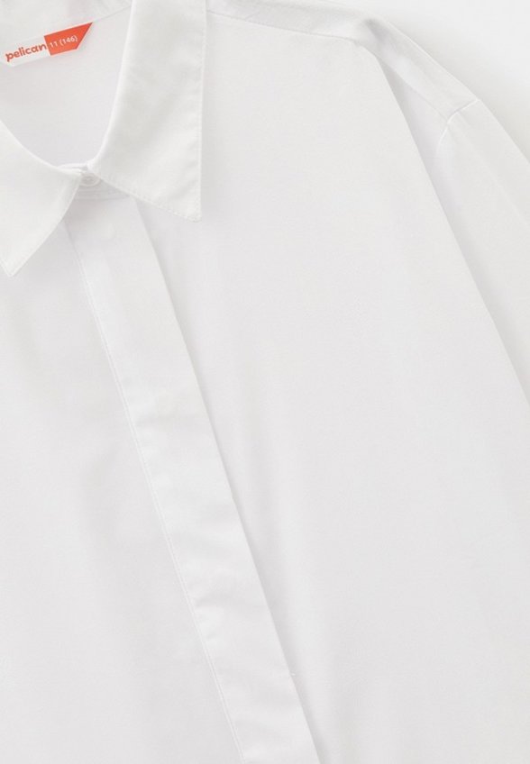 Рубашка Pelican