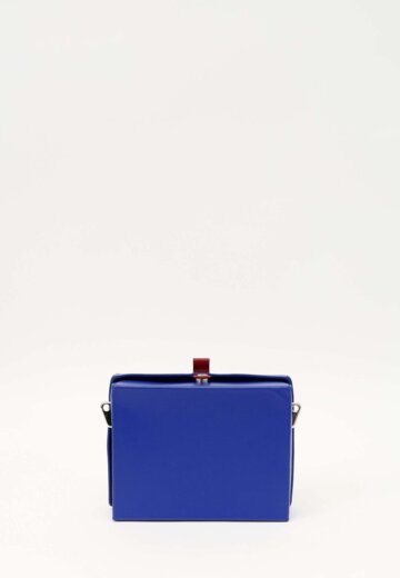 Louis Vuitton Leather Bag