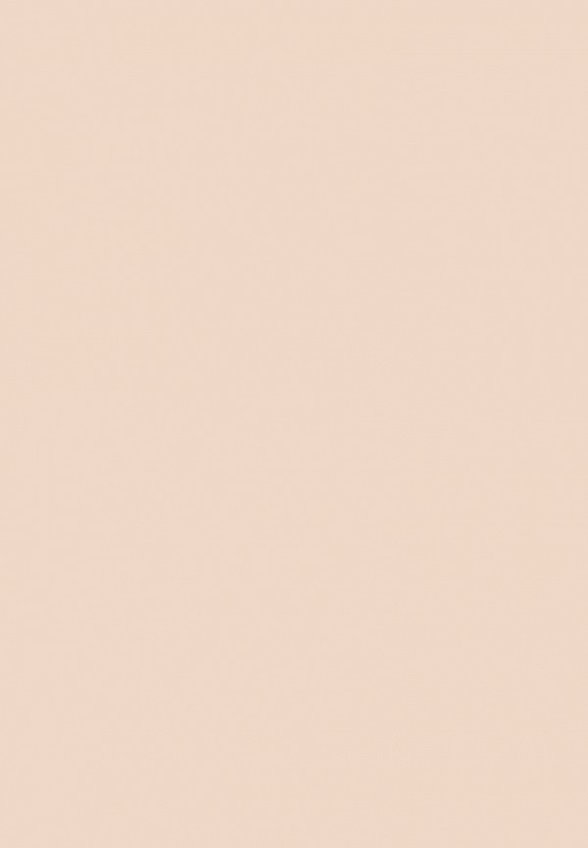 Пудра компактная Influence Beauty