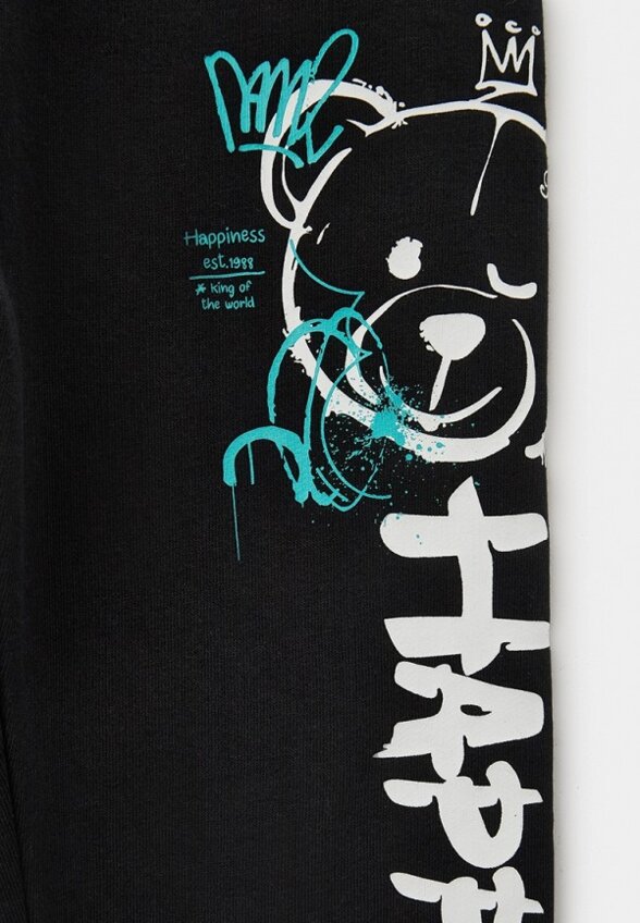 Брюки спортивные Terranova