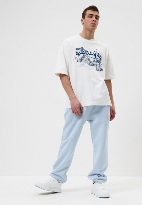 Брюки спортивные Low Lights