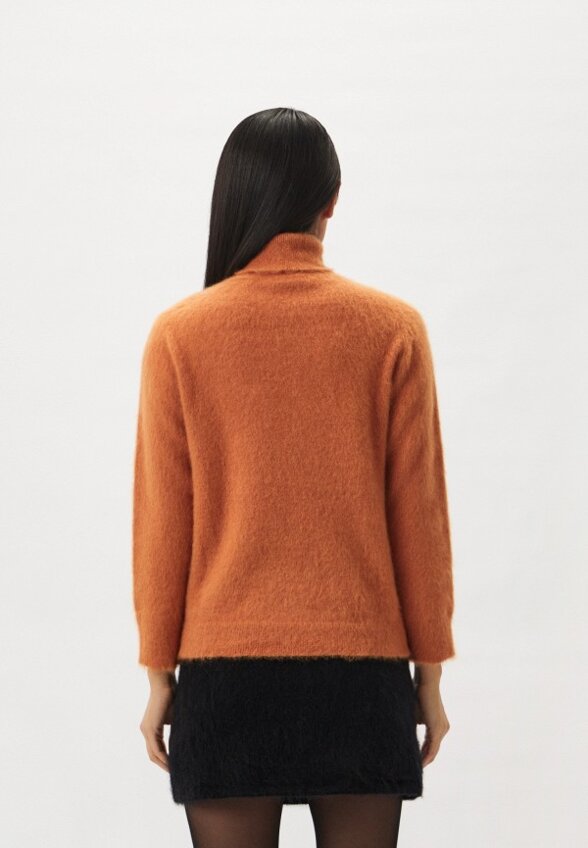 Водолазка Alberta Ferretti