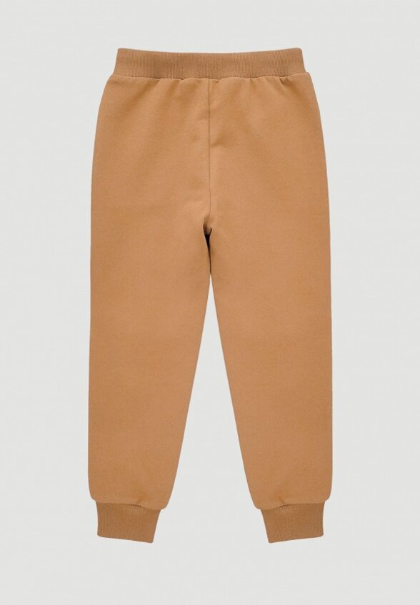 Брюки спортивные Mjolk