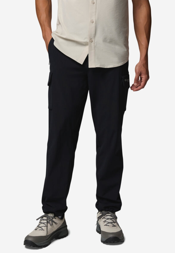 Брюки мужские Columbia Silver Ridge Elite Pant, Черный