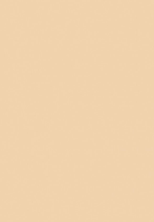 Консилер Ninelle