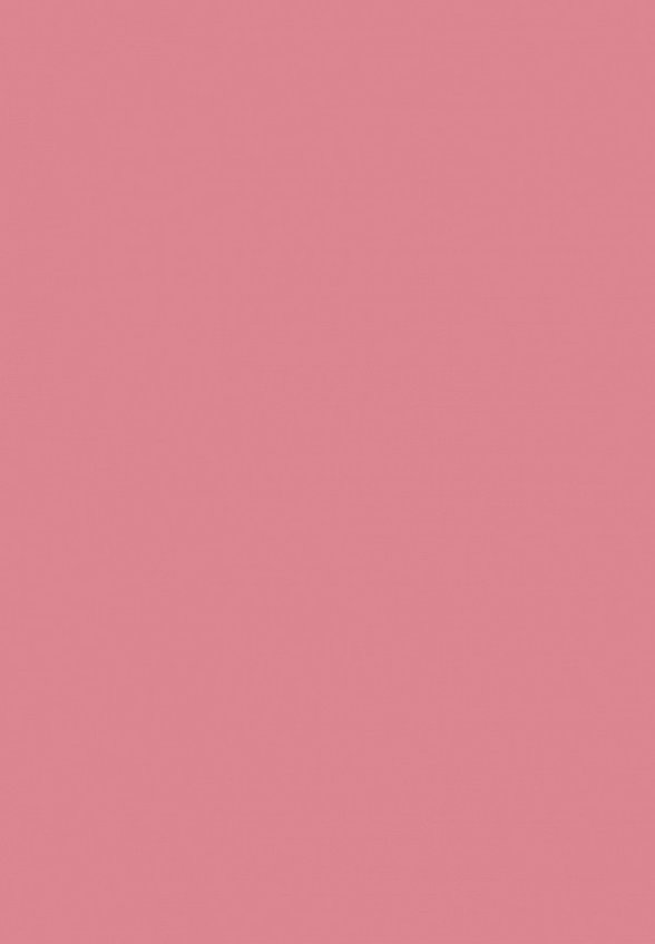 Румяна Focallure