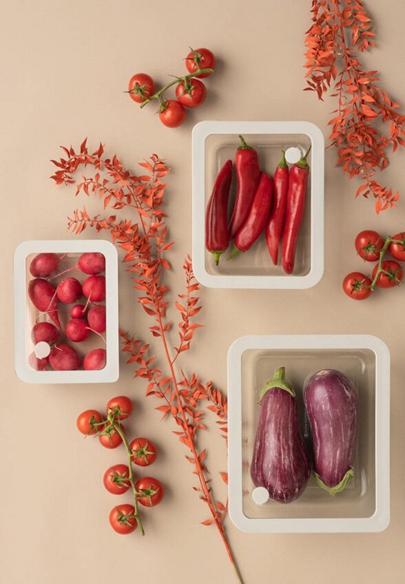 Контейнер для хранения продуктов Smart Solutions