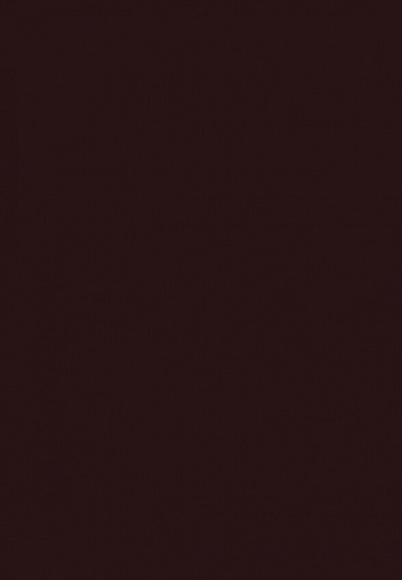 Бальзам оттеночный для губ Shik