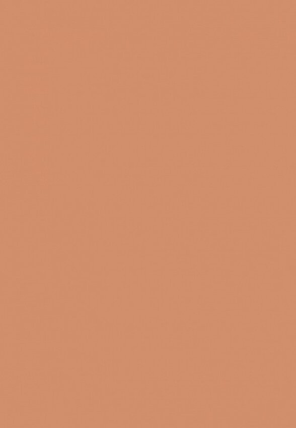 Бронзатор Arive Makeup