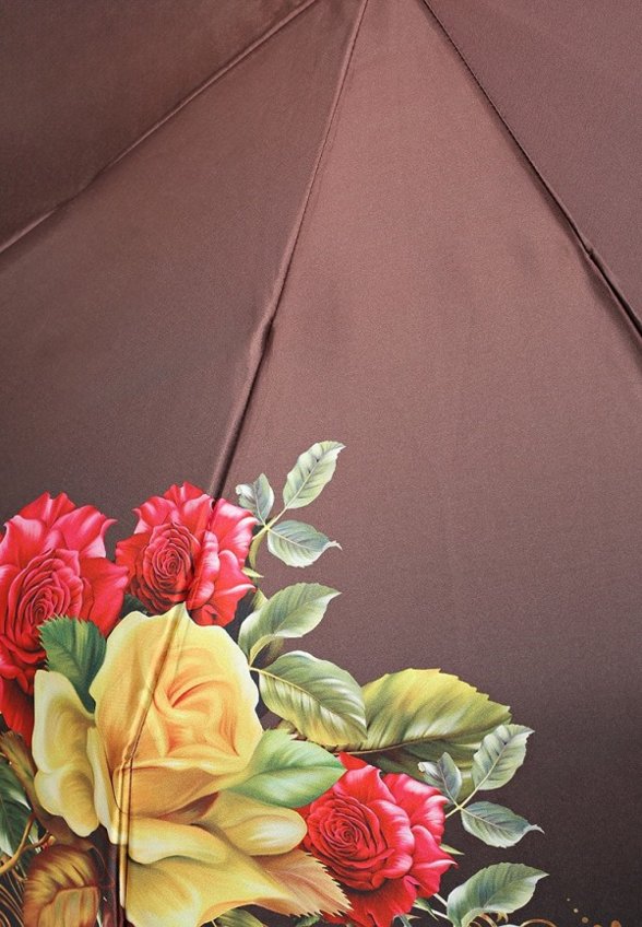 Зонт складной Trust