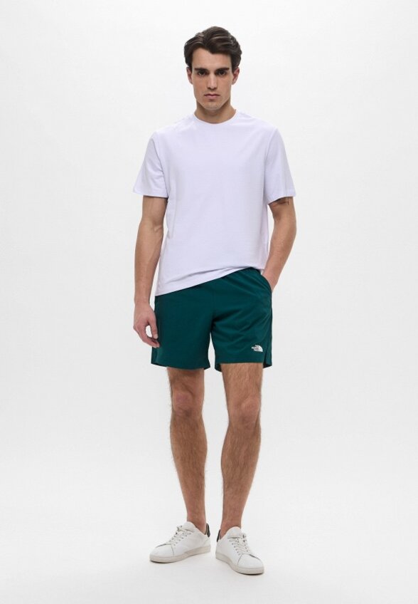 Шорты спортивные The North Face