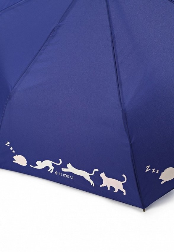 Зонт складной и брелок Flioraj