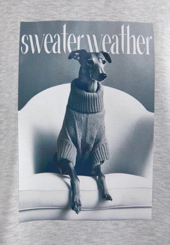 Свитшот Vittoria Vicci