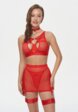 Бюстгальтер, трусы, пояс для чулок и подвязки 2 шт. Amazonka Underwear1  - превью