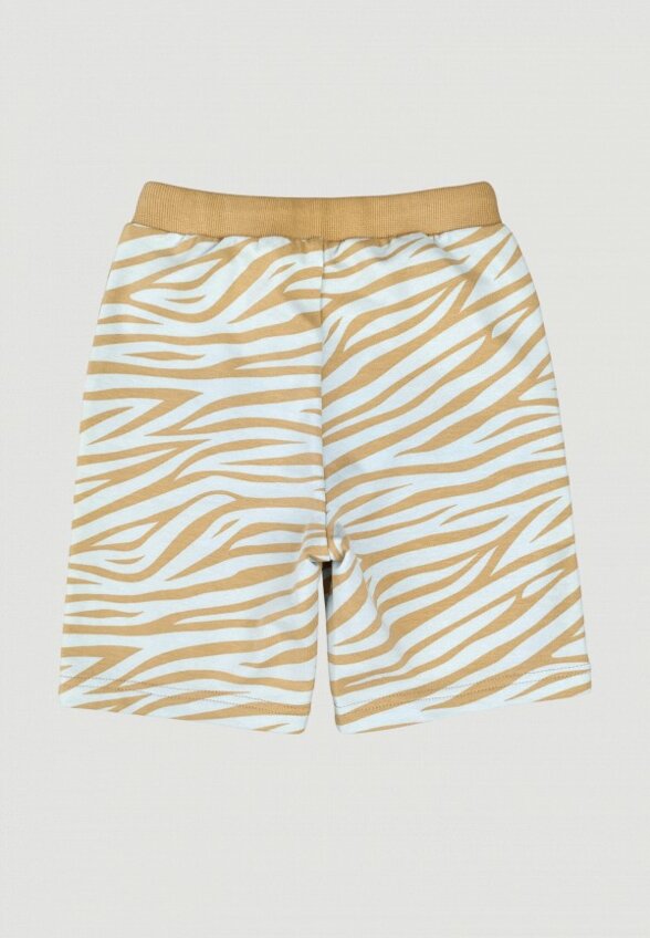 Шорты спортивные Mjolk