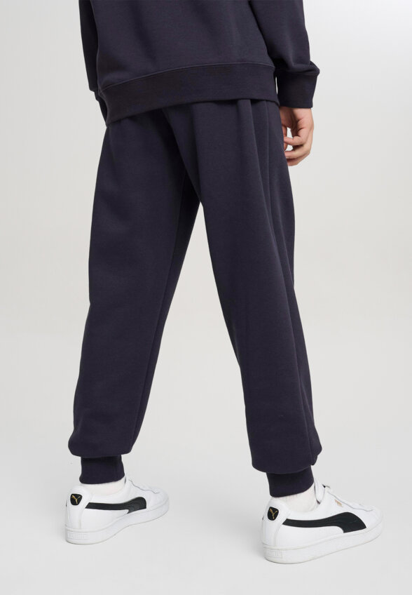 Брюки для мальчиков PUMA, Синий