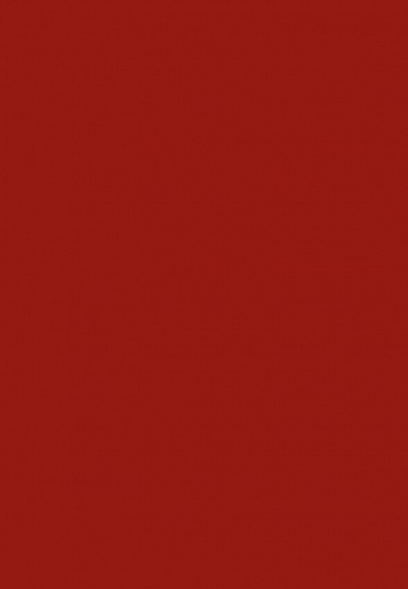 Блеск для губ Arive Makeup