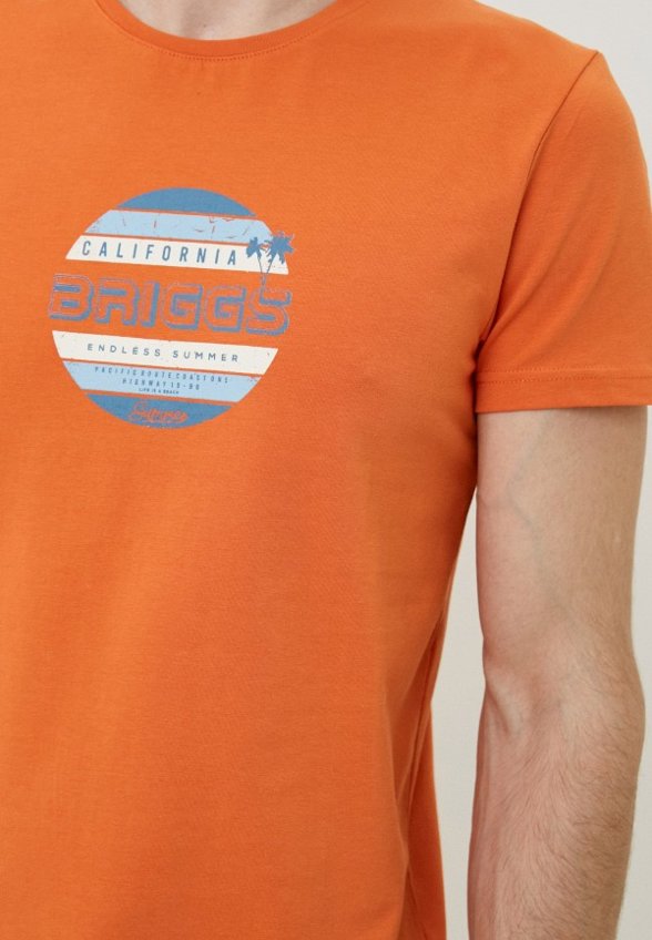 Футболка Briggs