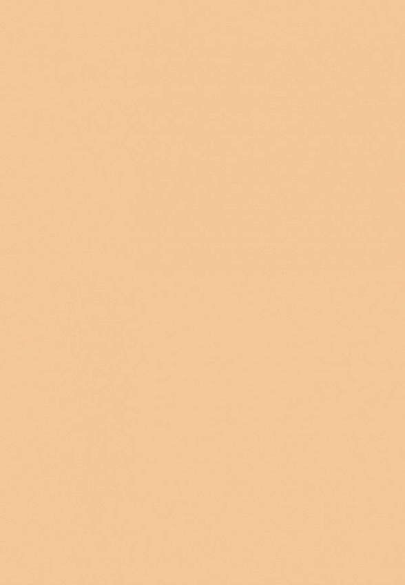 Пудра компактная Farmstay