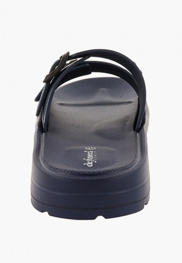 Сланцы De Fonseca