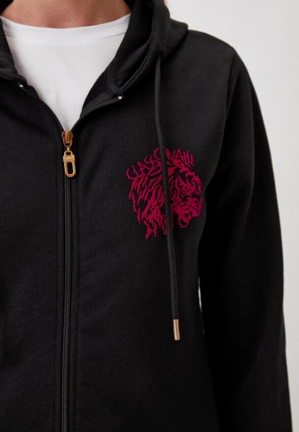 Толстовка Cavalli Class