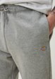 Брюки спортивные Dickies4  - превью