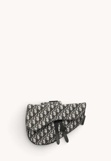 Dior Saddle