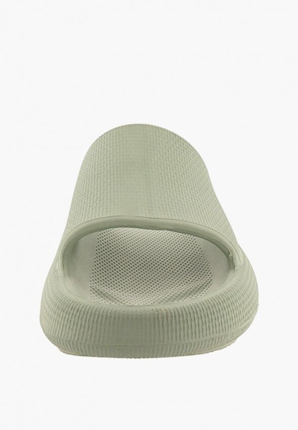 Сланцы De Fonseca