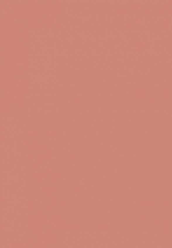 Помада Influence Beauty