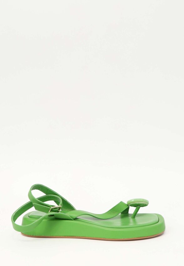Gia Shoes