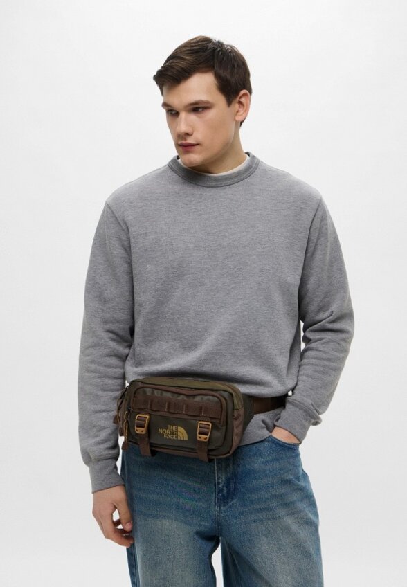 Сумка поясная The North Face