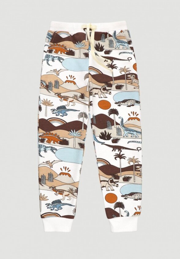 Брюки спортивные Mjolk