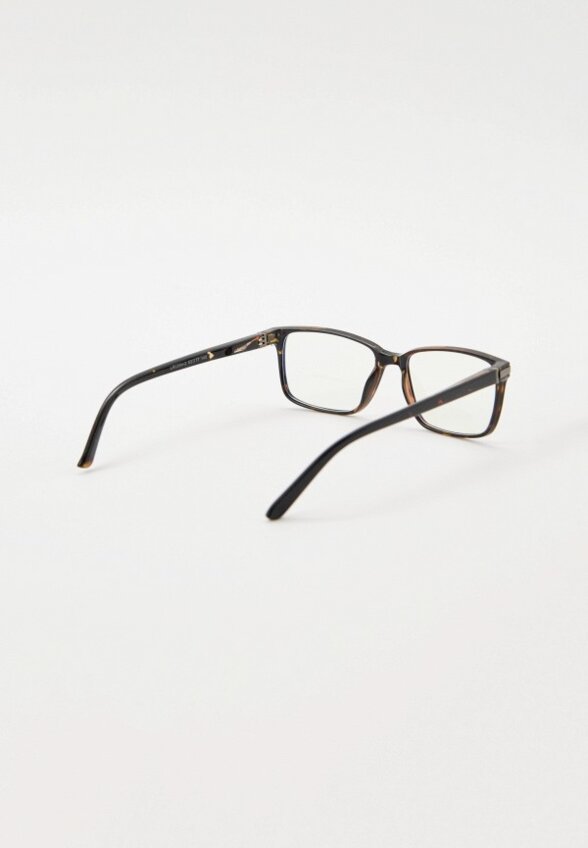 Очки для компьютера Lectio Risus