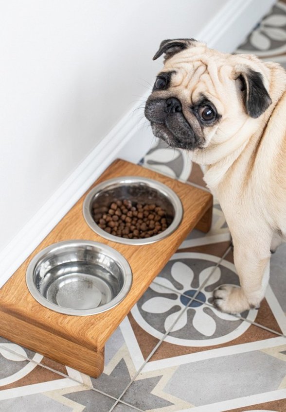 Миска Фоксвудрус