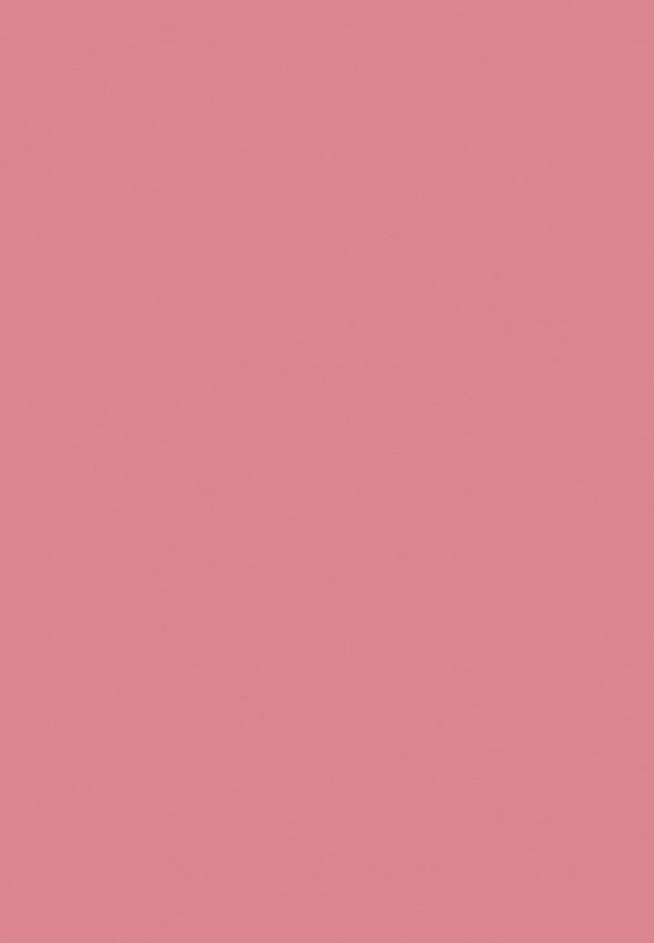 Румяна Focallure