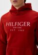 Худи Tommy Hilfiger4  - превью