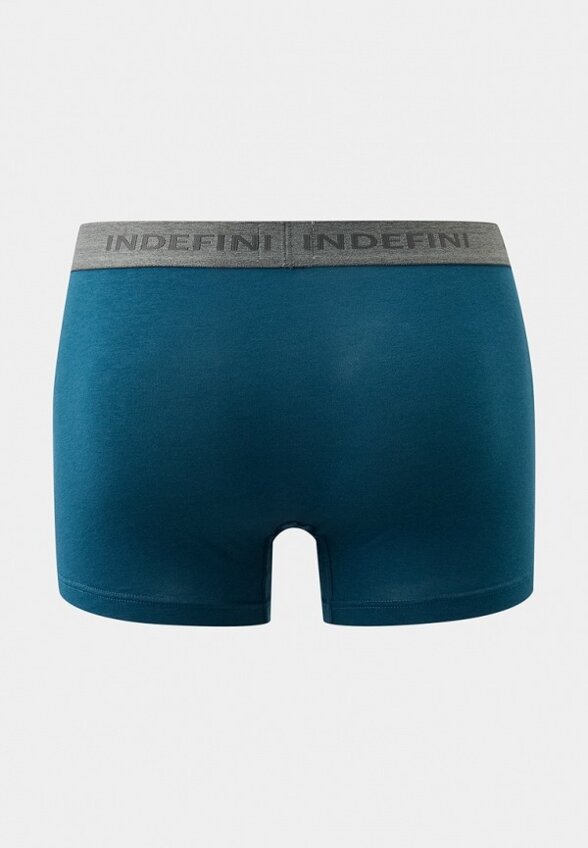 Трусы Indefini