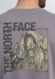 Футболка мужская The North Face Half Dome Photo, Серый7  - превью