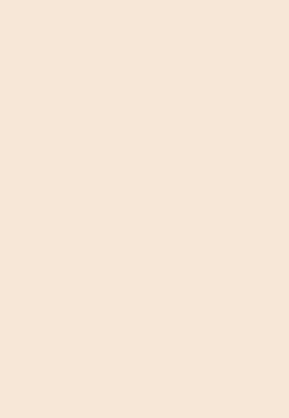 Пудра компактная Divage