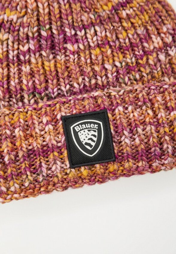 Шапка Blauer USA